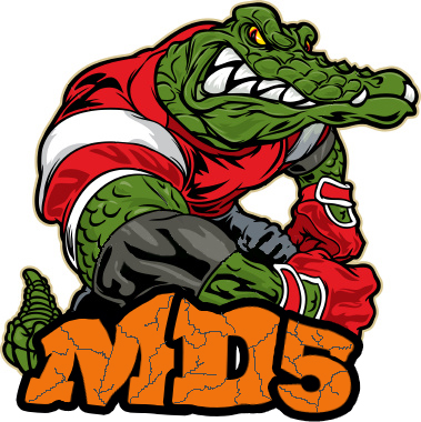 Алгоритм MD5