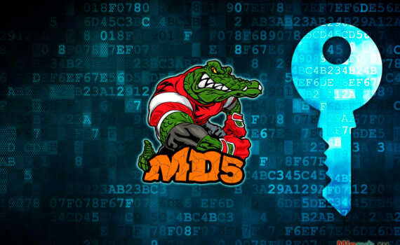 Алгоритм MD5