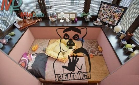 создание зоны отдыха