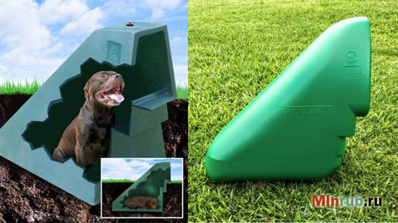 собачья будка