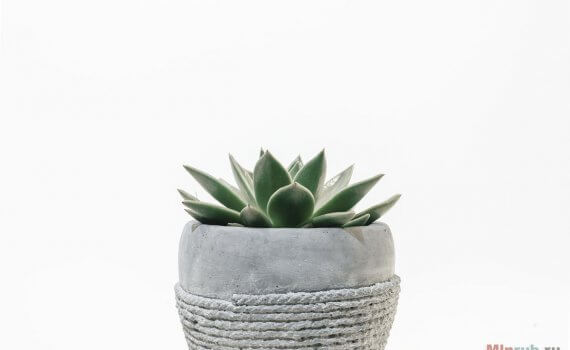 Производство кашпо из бетона