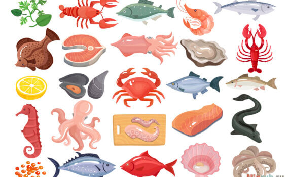 Открываем магазин морепродуктов